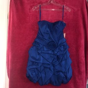 Royal Blue Dress